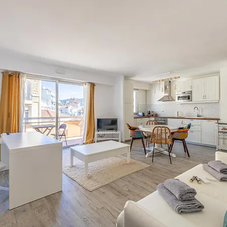 Exceptional Spacious One Bedroom Flat In Apartment Cannes